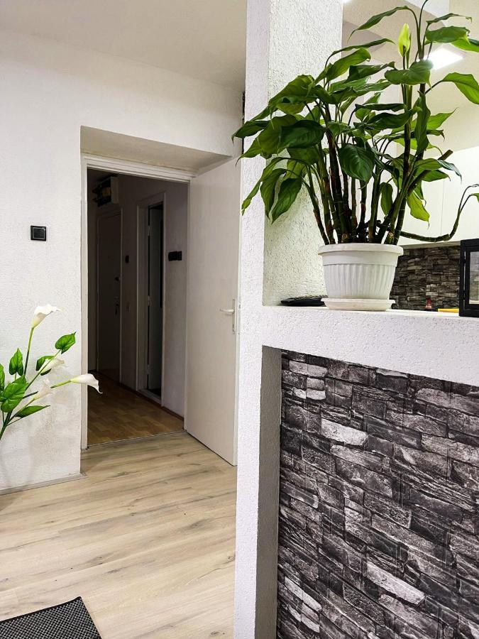Apartment Tatjana 크라구예바츠 외부 사진