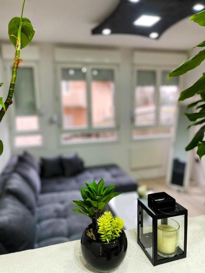 Apartment Tatjana 크라구예바츠 외부 사진