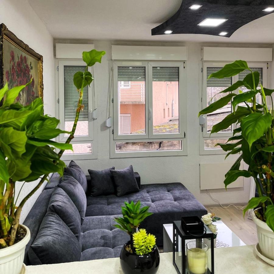 Apartment Tatjana 크라구예바츠 외부 사진