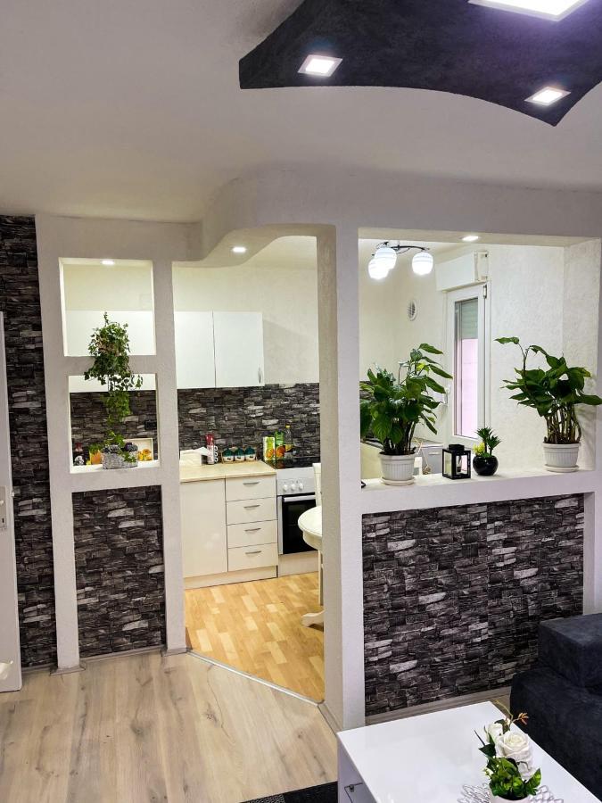 Apartment Tatjana 크라구예바츠 외부 사진